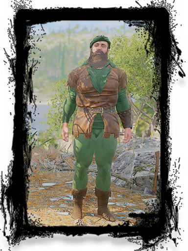 Костюм Робина