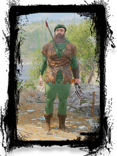 Робин гуд (профи)