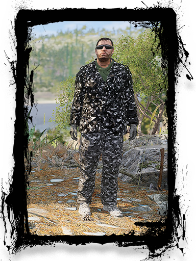 Снежный барс